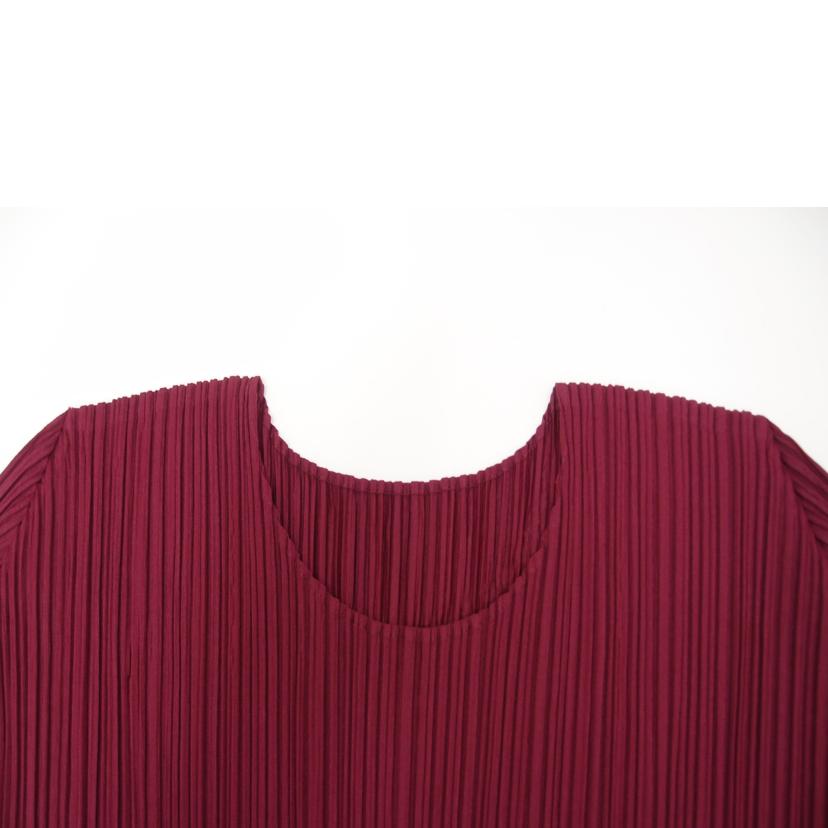 PLEATS PLEASE ISSEY MIYAKE イッセイミヤケ/PLEATS PLEASE ISSEY MIYAKE カットソー//SAランク/69