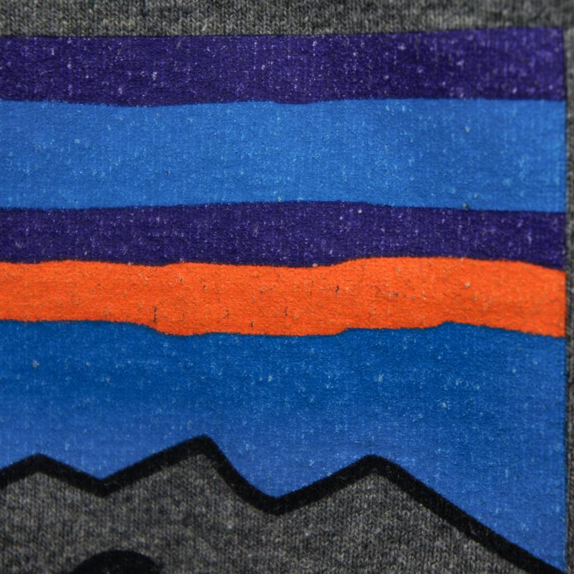 patagonia パタゴニア/ロゴ・アップライザル・フーディ/パーカー/39539SP20//Bランク/05