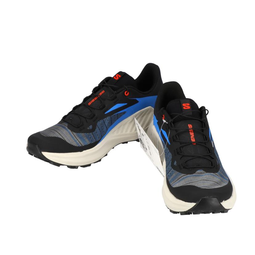 SALOMON サロモン/GENESIS トレイルランニング/478077//Aランク/85