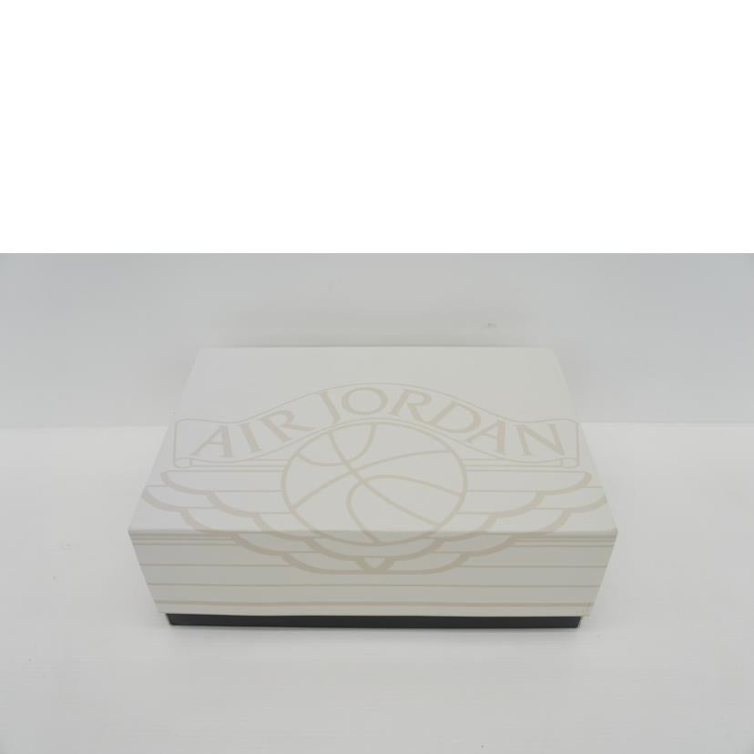 NIKE ナイキ/AIR JORDAN 2 RETORO/DR8884//103/Aランク/42