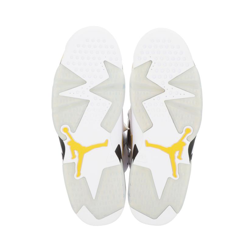 NIKE ナイキ/エアジョーダン6レトロ/スニーカー/CT8529-170//Aランク/18
