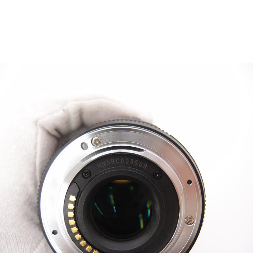 Panasonic パナソニック/交換レンズ/LUMIX G X VARIO PZ 45-175mm/F4.0-5.6 ASPH./ POWER O.I.S./H-PS45175//HN5BC003509/Aランク/69