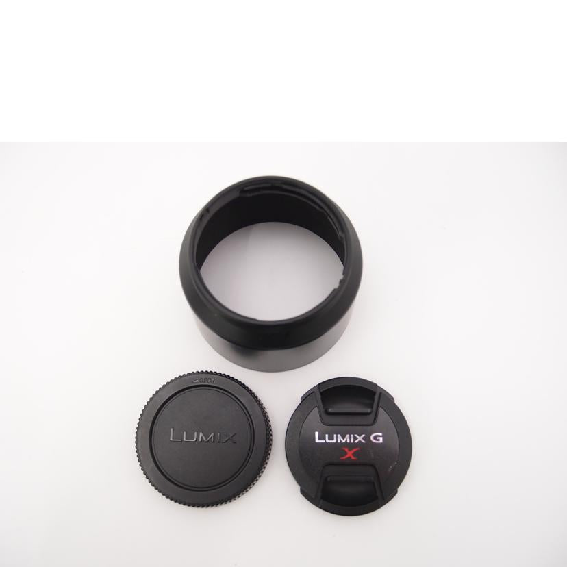 Panasonic パナソニック/交換レンズ/LUMIX G X VARIO PZ 45-175mm/F4.0-5.6 ASPH./ POWER O.I.S./H-PS45175//HN5BC003509/Aランク/69