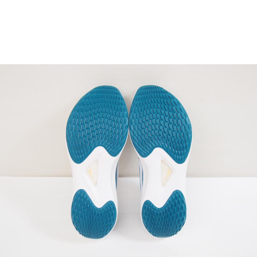 NIKE ナイキ/NIKE ZOOM FLY5/DM8968-400//Aランク/71