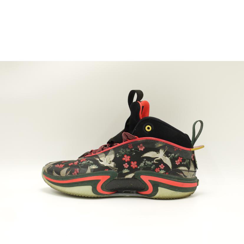 NIKE ナイキ/NIKE AIR JORDAN XXVI/DV5266-073//ABランク/69