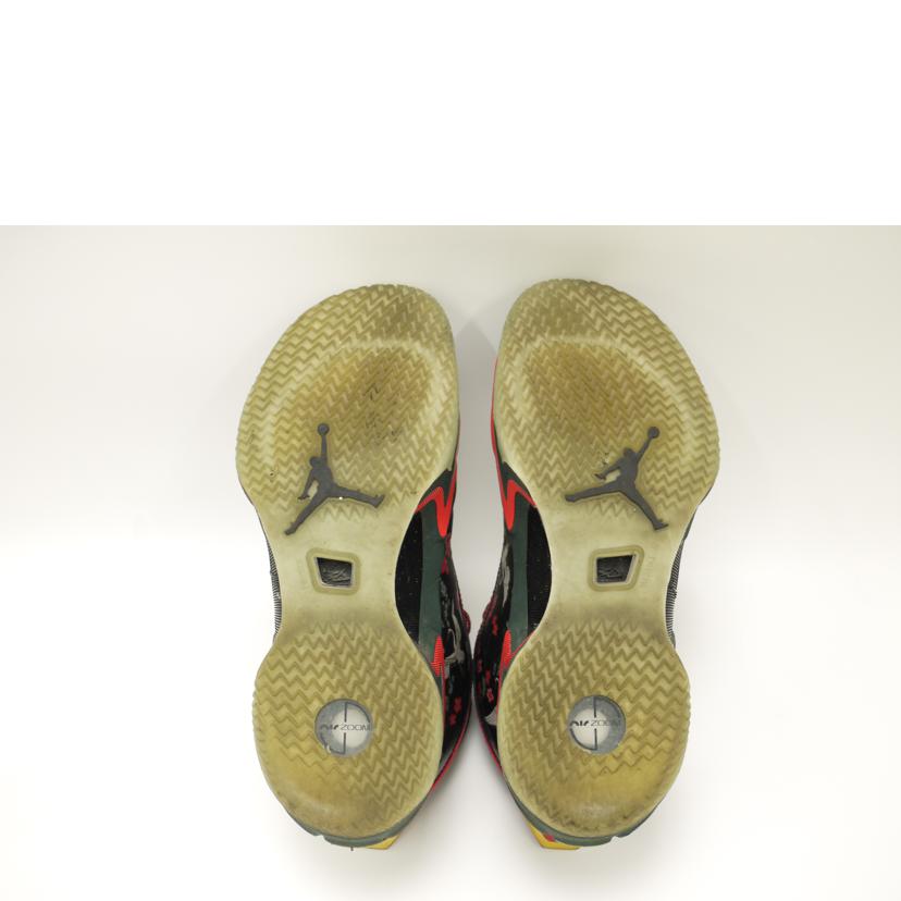 NIKE ナイキ/NIKE AIR JORDAN XXVI/DV5266-073//ABランク/69