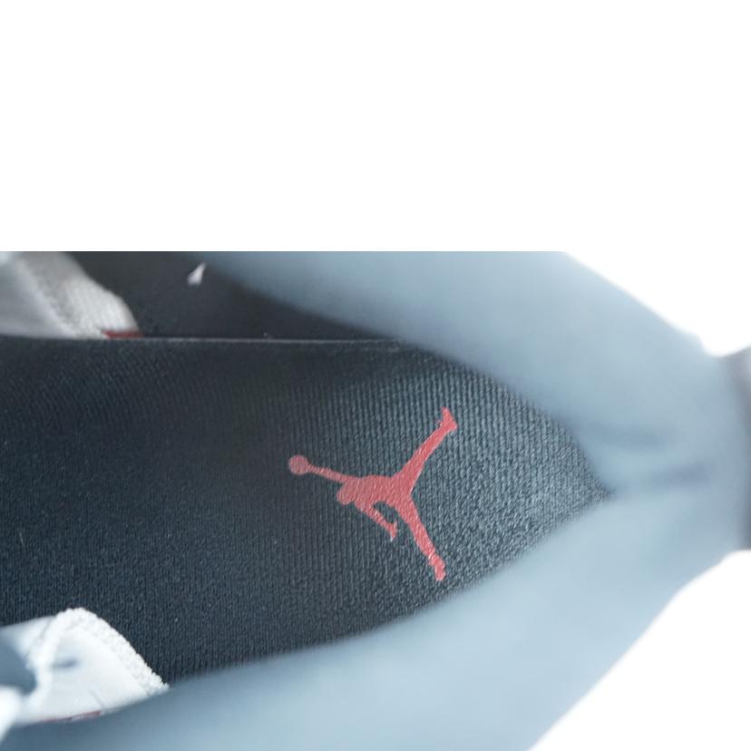 NIKE ナイキ/NIKE AIR JORDAN RETRO12 26.5/CT8013-116//Aランク/67