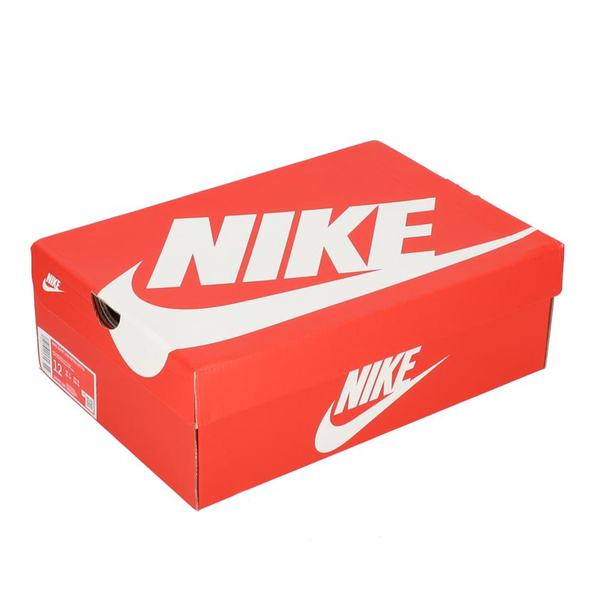 NIKE ナイキ/NIKE DUNK LOW RETRO BTTYS/DV0833-300//ABランク/70