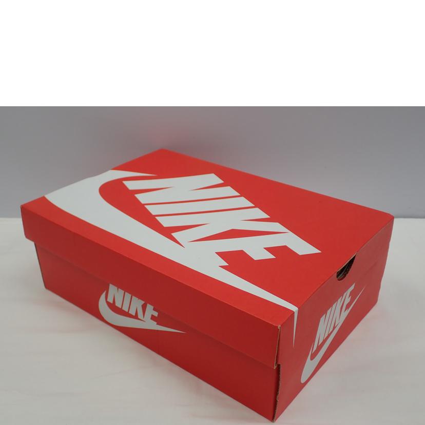 NIKE ナイキ/DUNK HIGH LX/DQ7575-300//28.5cm/Aランク/62