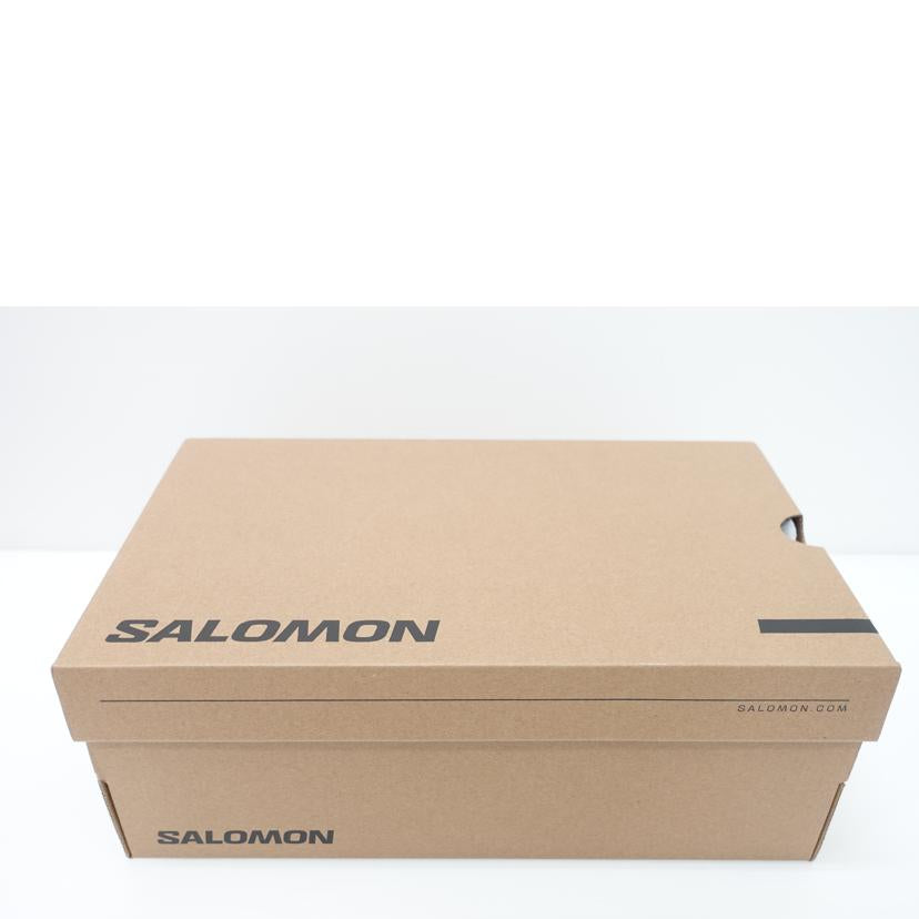 SALOMON サロモン/XT-WHISPER/477955//ABランク/88