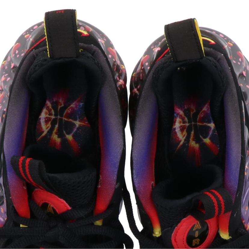 NIKE NIKE/エアフォームポジット/プロ/プレミアムレインボー/616750600//28cm/ABランク/03