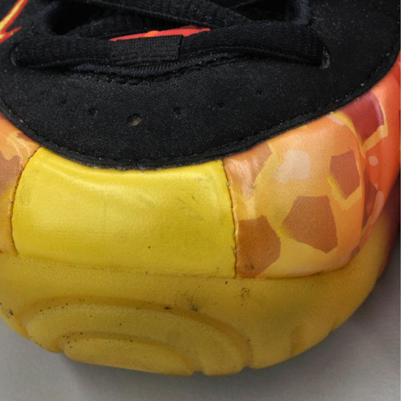 NIKE NIKE/エアフォームポジット/プロ/プレミアムレインボー/616750600//28cm/ABランク/03