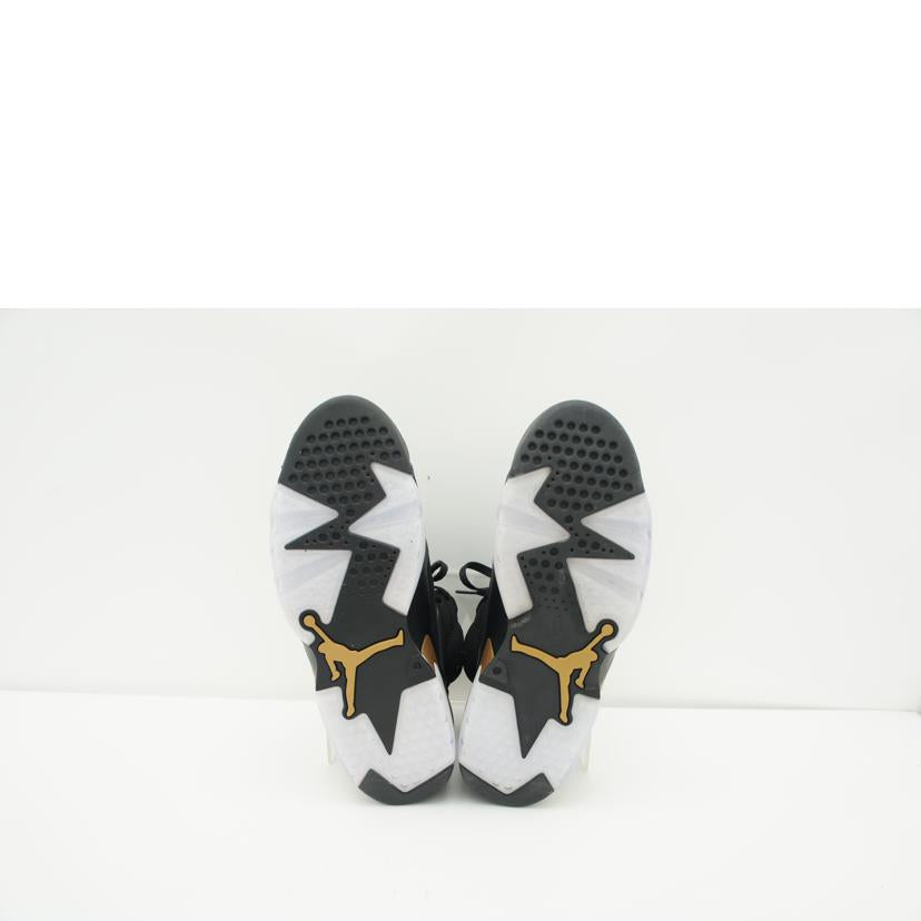 NIKE NIKE/AIR JORDAN 6 RETRO DMP/CT4954-007//ABランク/41