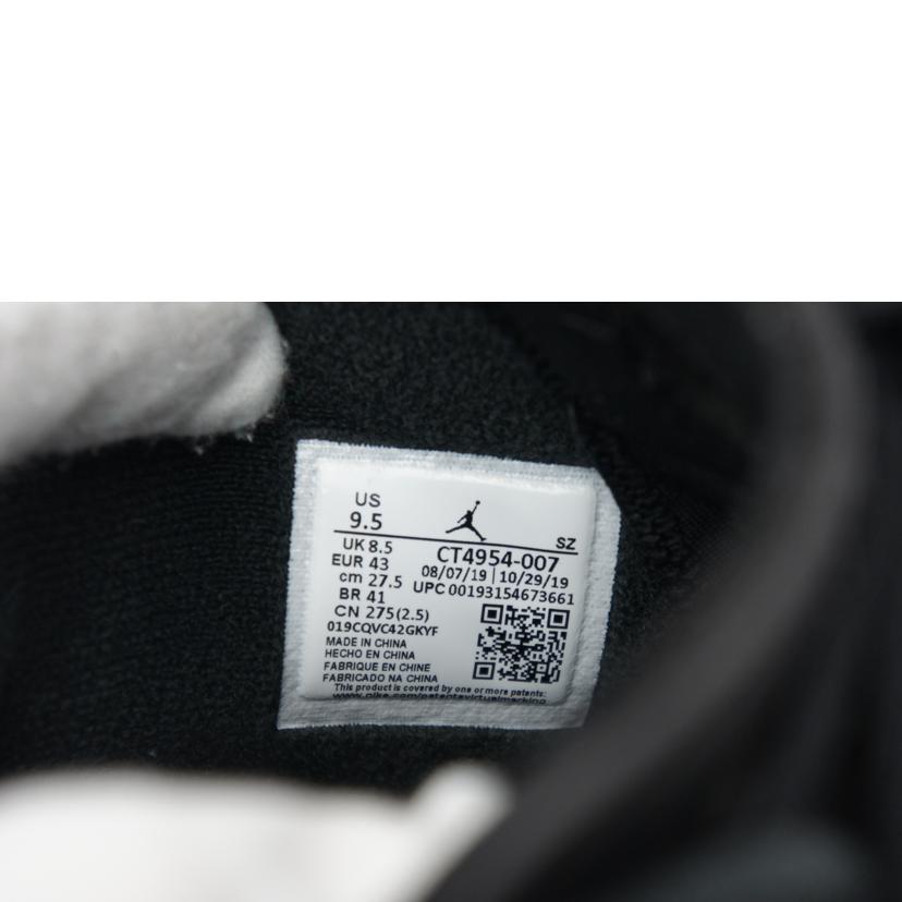 NIKE NIKE/AIR JORDAN 6 RETRO DMP/CT4954-007//ABランク/41