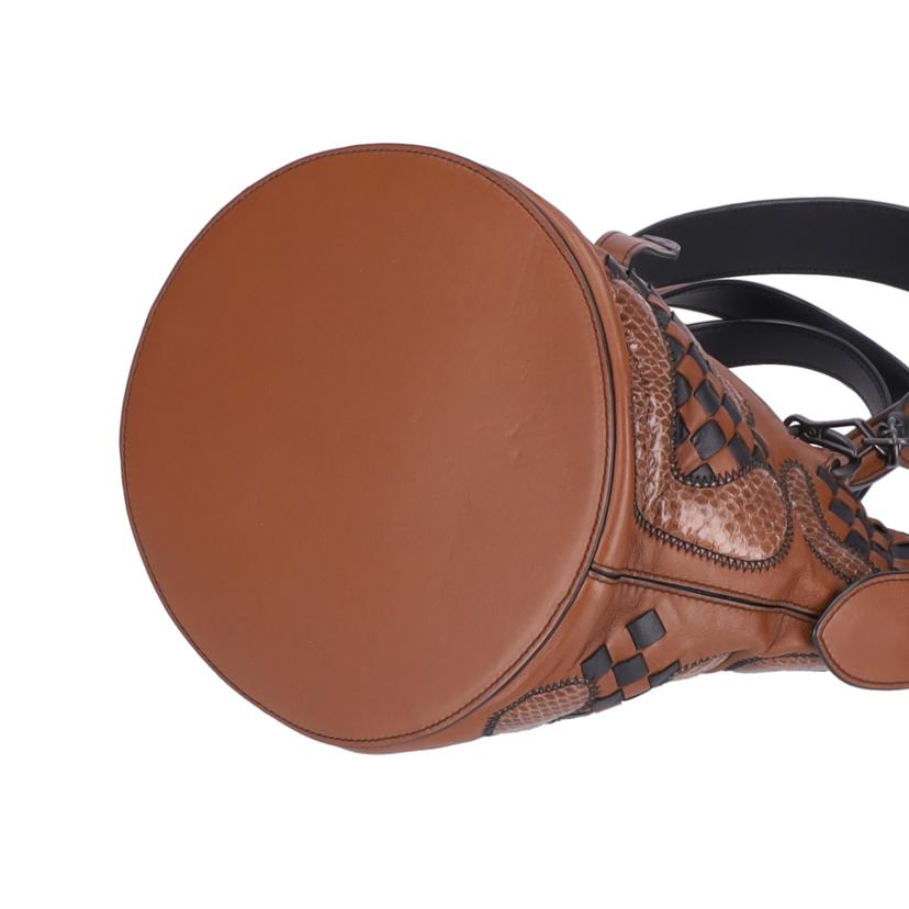 BOTTEGA VENETA ボッテガヴェネタ/イントレチャート×パイソン2wayバッグ//B07*******/ABランク/77