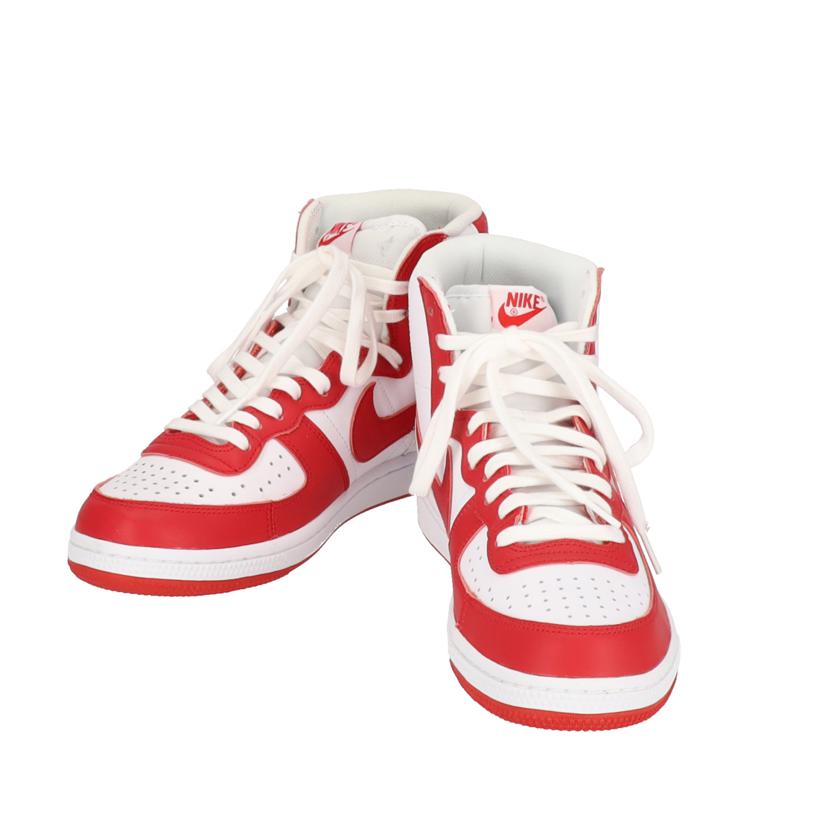 NIKE ナイキ/NIKE TERMINATOR HIGH/FJ4454-100//ABランク/70