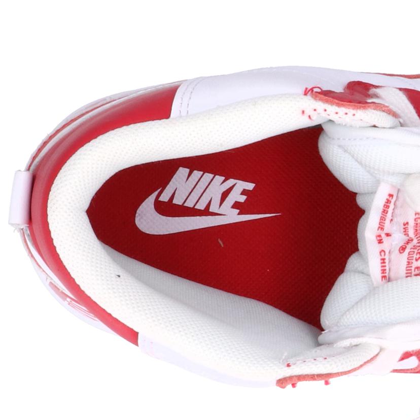 NIKE ナイキ/NIKE TERMINATOR HIGH/FJ4454-100//ABランク/70