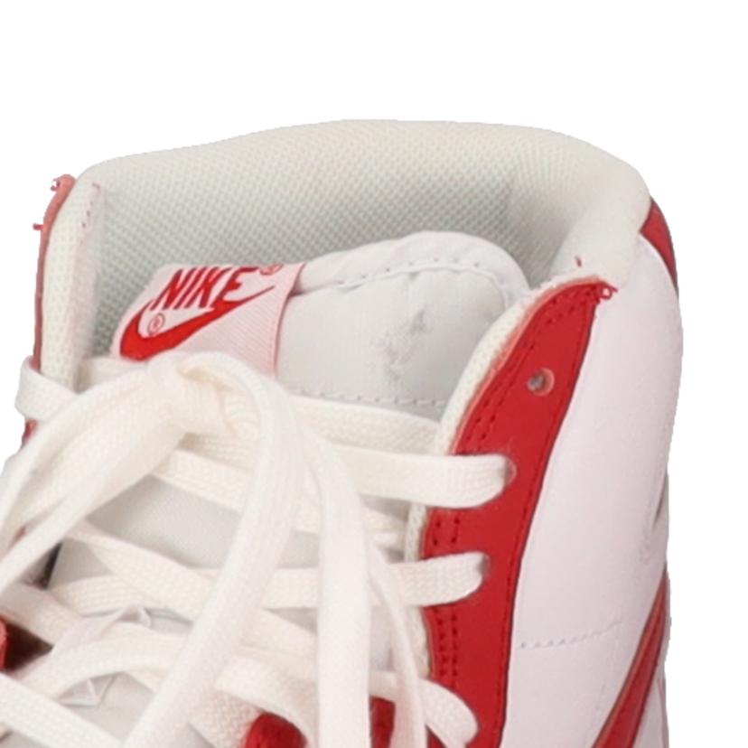 NIKE ナイキ/NIKE TERMINATOR HIGH/FJ4454-100//ABランク/70