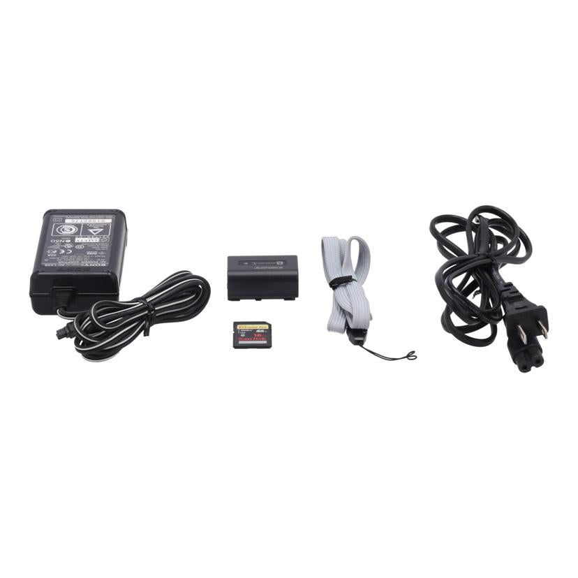 SONY ソニー/ビデオカメラ/Handycam/HDR-CX590V//3027449/Bランク/89