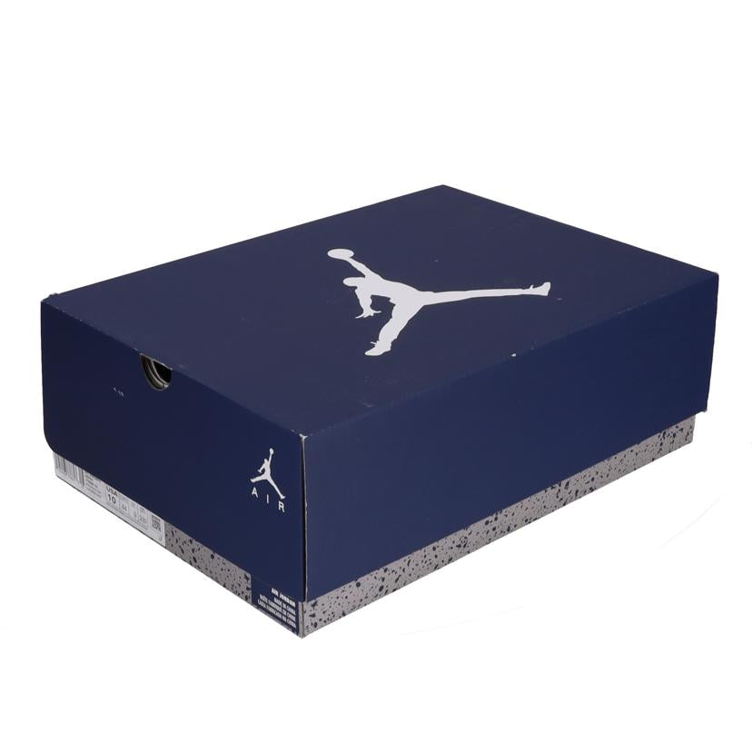 NIKE NIKE/AIR JORDAN 6 RETRO/CT8529-141//28cm/ABランク/03