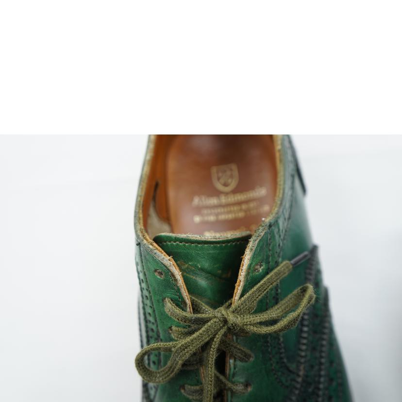 Allen Edmonds アレンエドモンズ/ Allen Edmonds ウィングチップ メダリオン /Neumok 2.0//Aランク/67