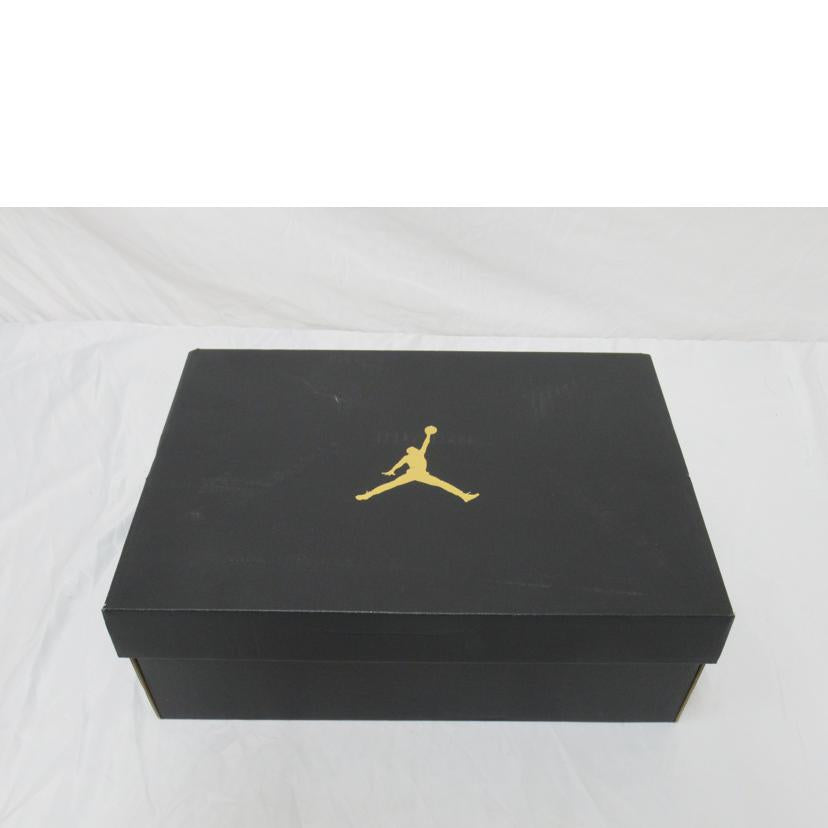NIKE/AIR JORDAN 1 MID/DQ8426-067//Aランク/63