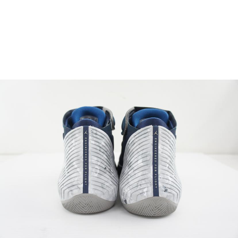 NIKE ナイキ/NIKE JORDAN WHY NOT 0.1/AA2510-406//Bランク/64