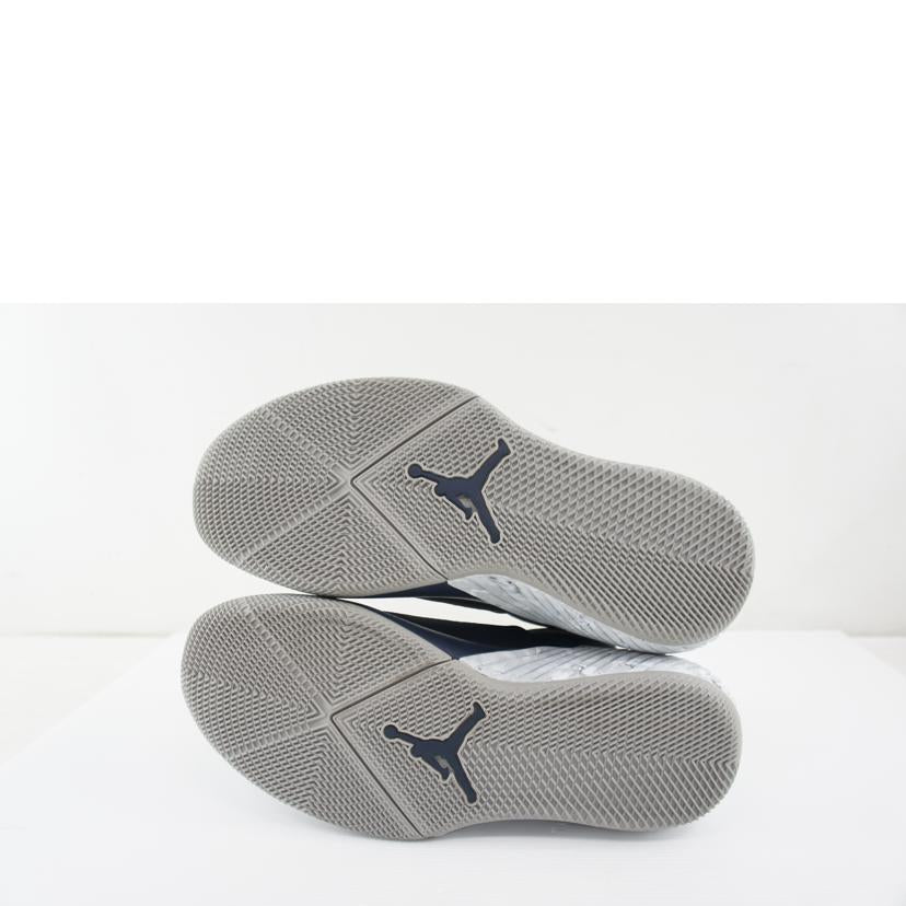 NIKE ナイキ/NIKE JORDAN WHY NOT 0.1/AA2510-406//Bランク/64