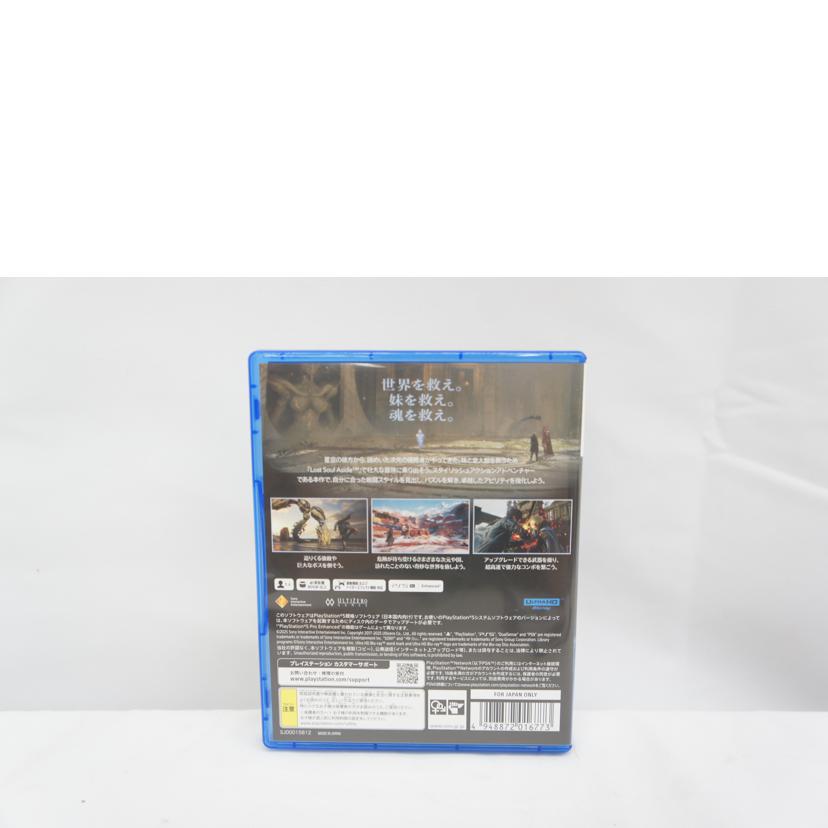 Ultizero Games/LOST SOUL ASIDE/PS5//ABランク/05