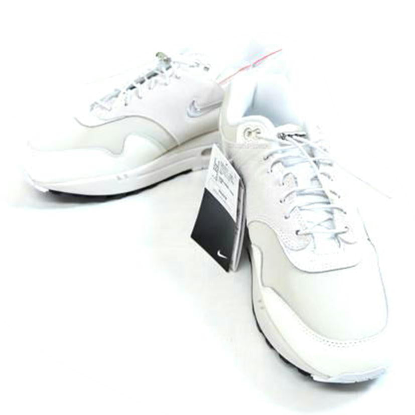 NIKE ナイキ/エアマックス1 PRM/DZ5317-121//Aランク/71