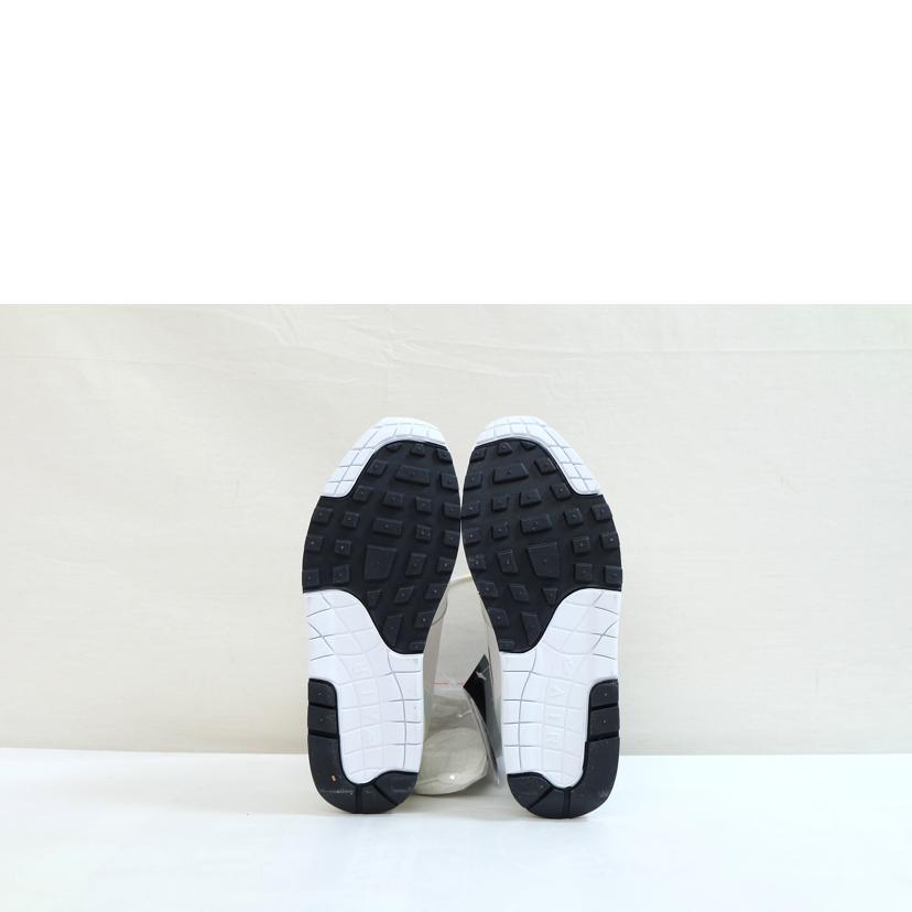 NIKE ナイキ/エアマックス1 PRM/DZ5317-121//Aランク/71