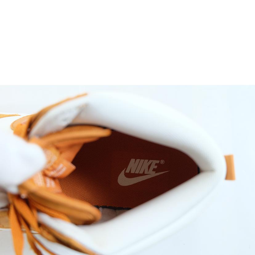 NIKE ナイキ/ダンク HI レトロ SE/DV7223-800//Aランク/71