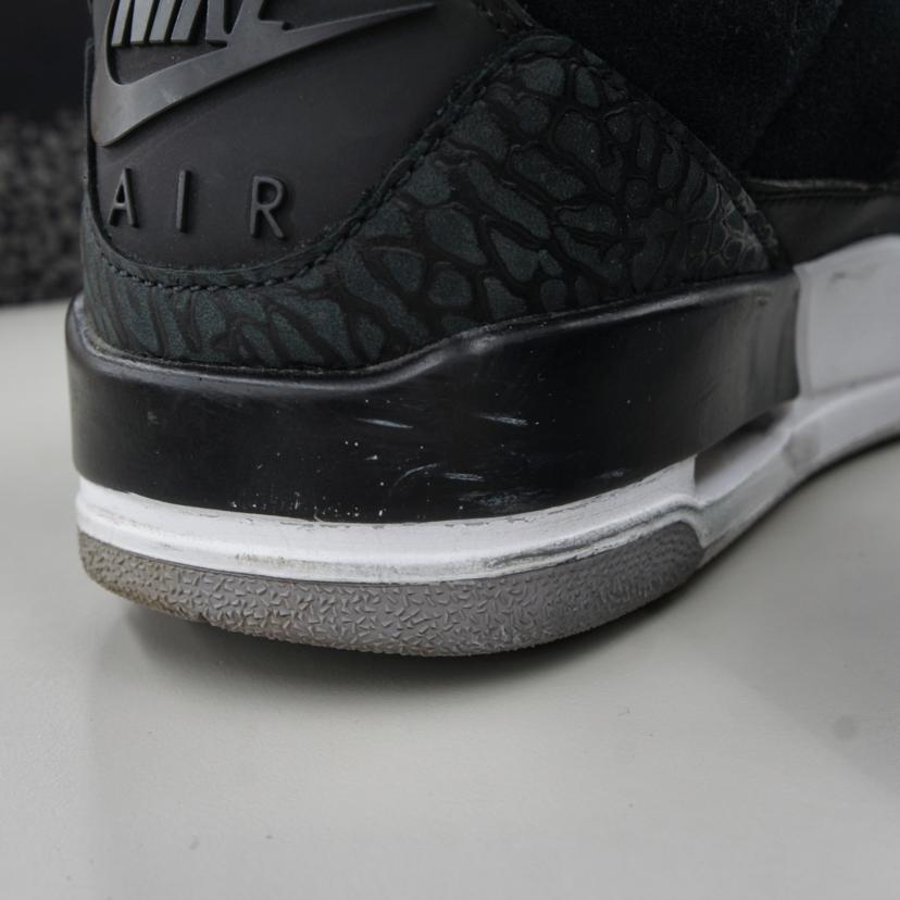 NIKE NIKE/Air Jordan 3 RETOL TH/CK4348-007//26cm/ABランク/03