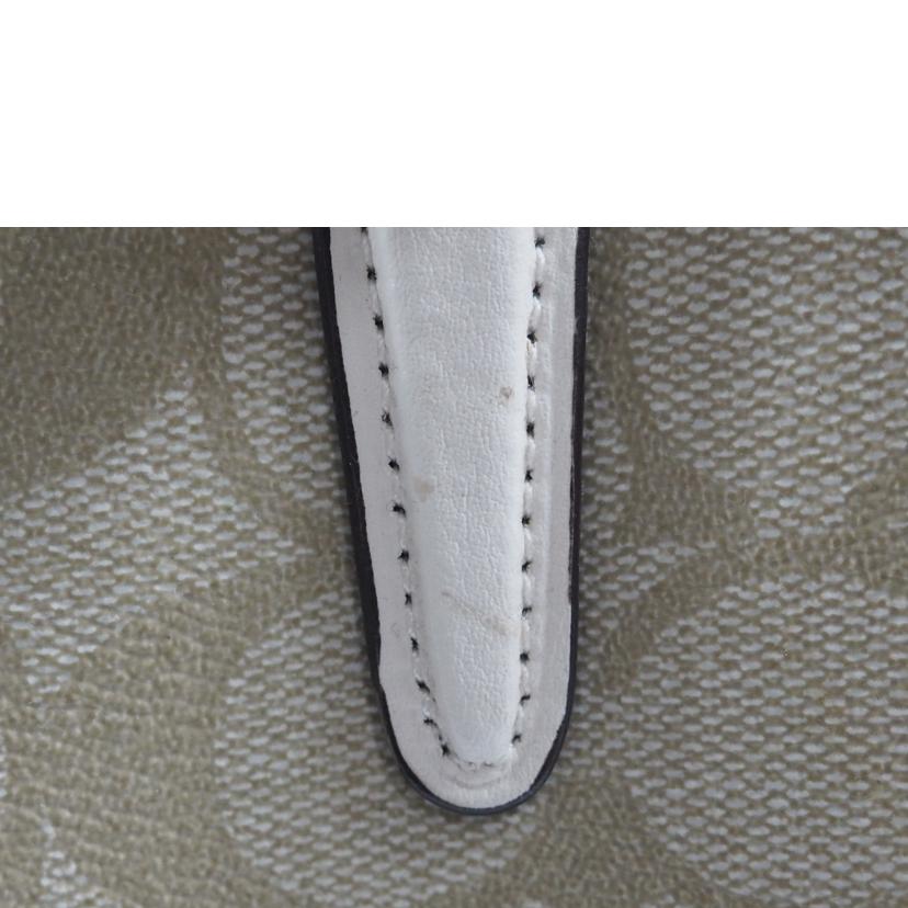 COACH コーチ/2wayバッグ/シグネチャー ミニセージキャリオール/ベージュxホワイト/F29434//ABランク/79