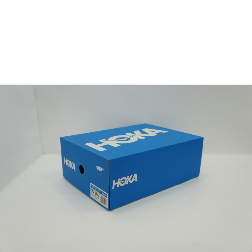 HOKA ホカ/トレッキングシューズ/アナカパロー/ゴアテックス/1122017//Aランク/18