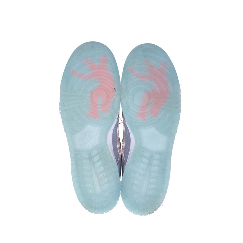 NIKE ナイキ/ユニオンコラボ DUNK LOW/DJ9649-400//ABランク/41