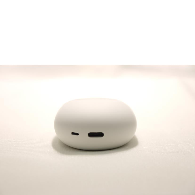 Google グーグル/Google Pixel Buds Pro2/GA05760-JP//56241WRJSB2014/ABランク/76