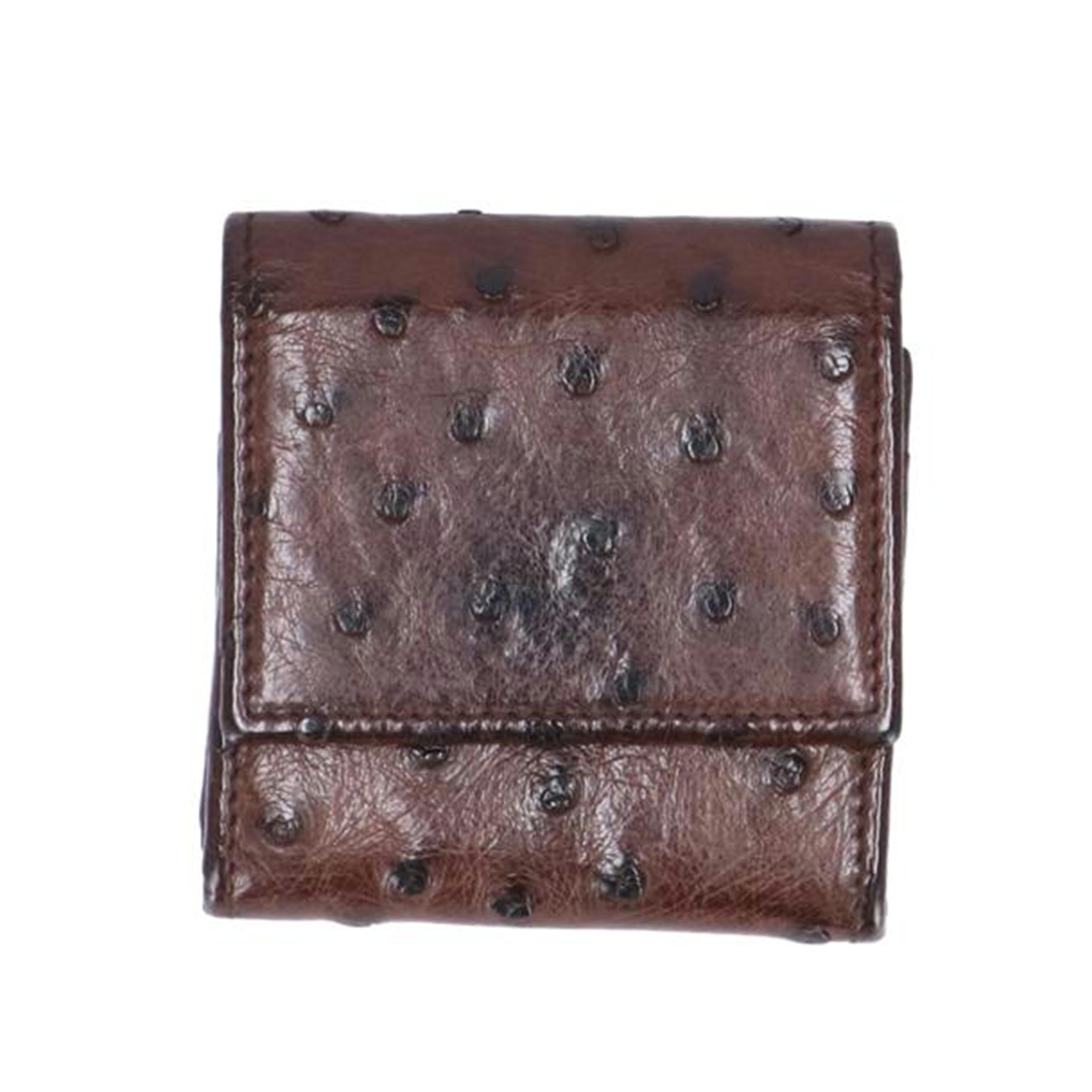 GUCCI グッチ /オーストリッチコインケース/162350//436***/ABランク/37