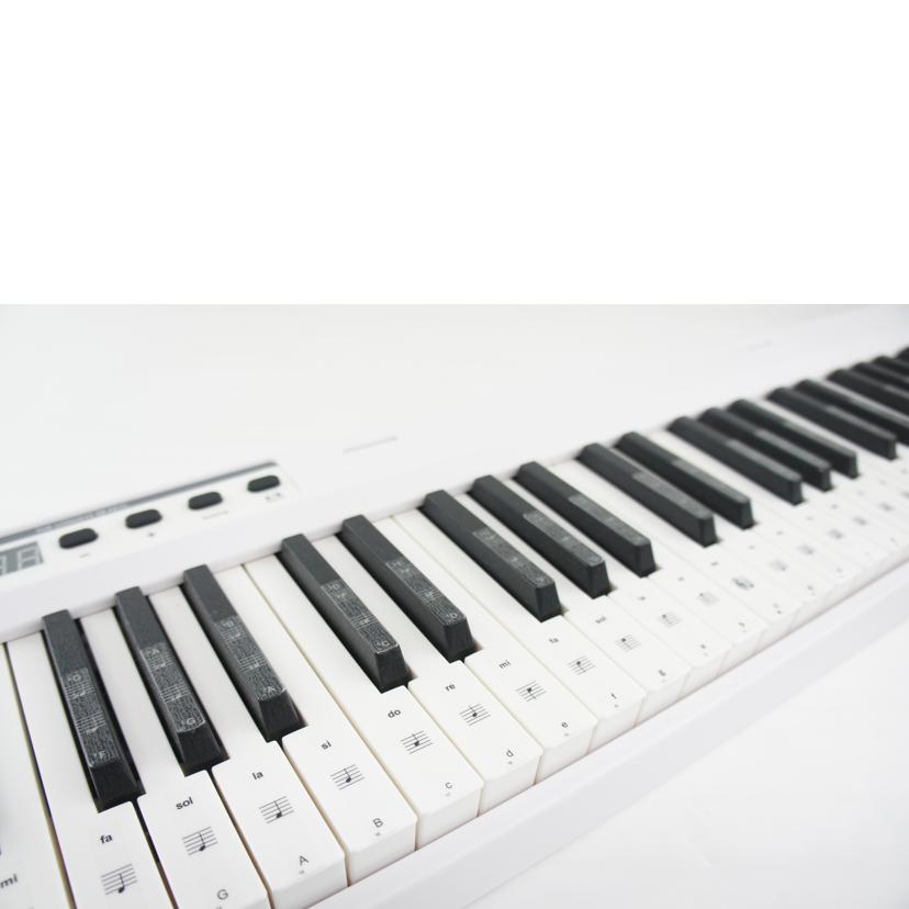 Longeye ロングアイ/電子ピアノ//ABランク/64