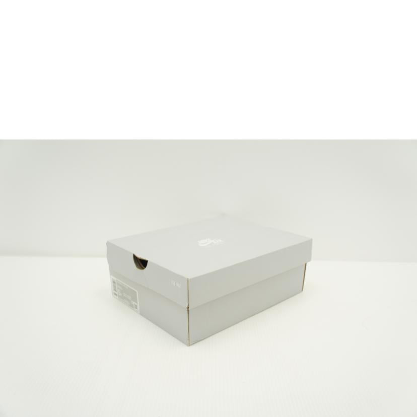 NIKE ナイキ/AIR FORCE 1 LV8/DX1656-800//ABランク/03