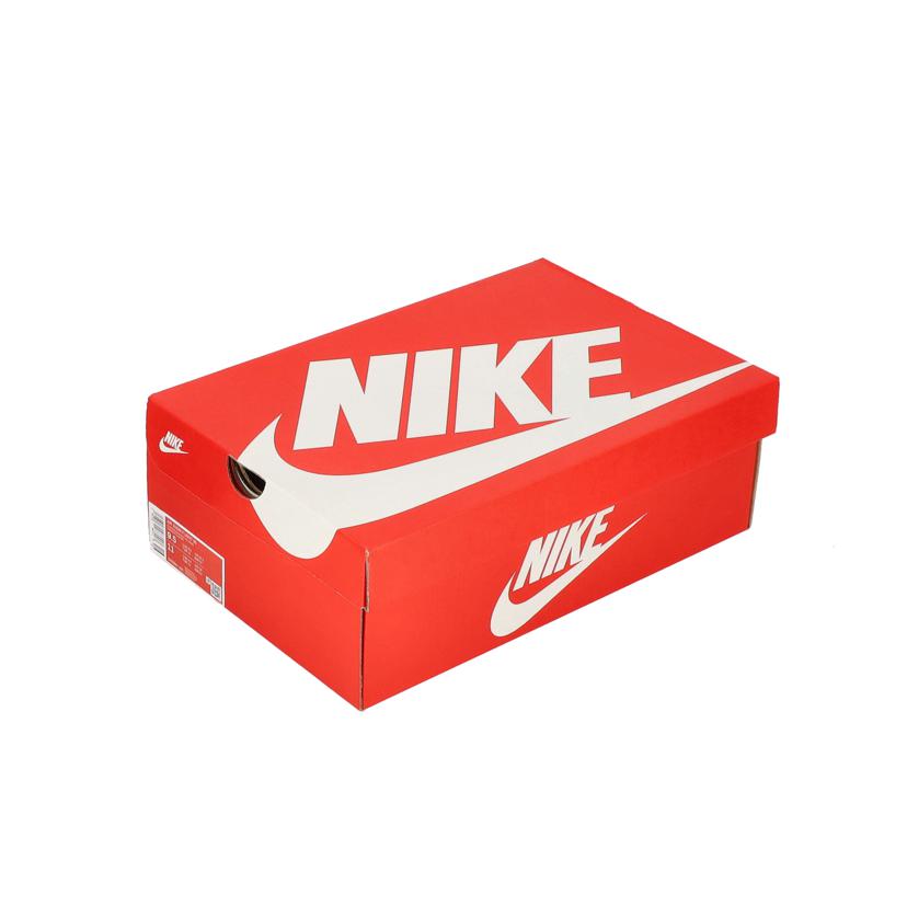 NIKE NIKE/Air ZOOM FLIGHT 95/DV6994-001//28cm/SAランク/03