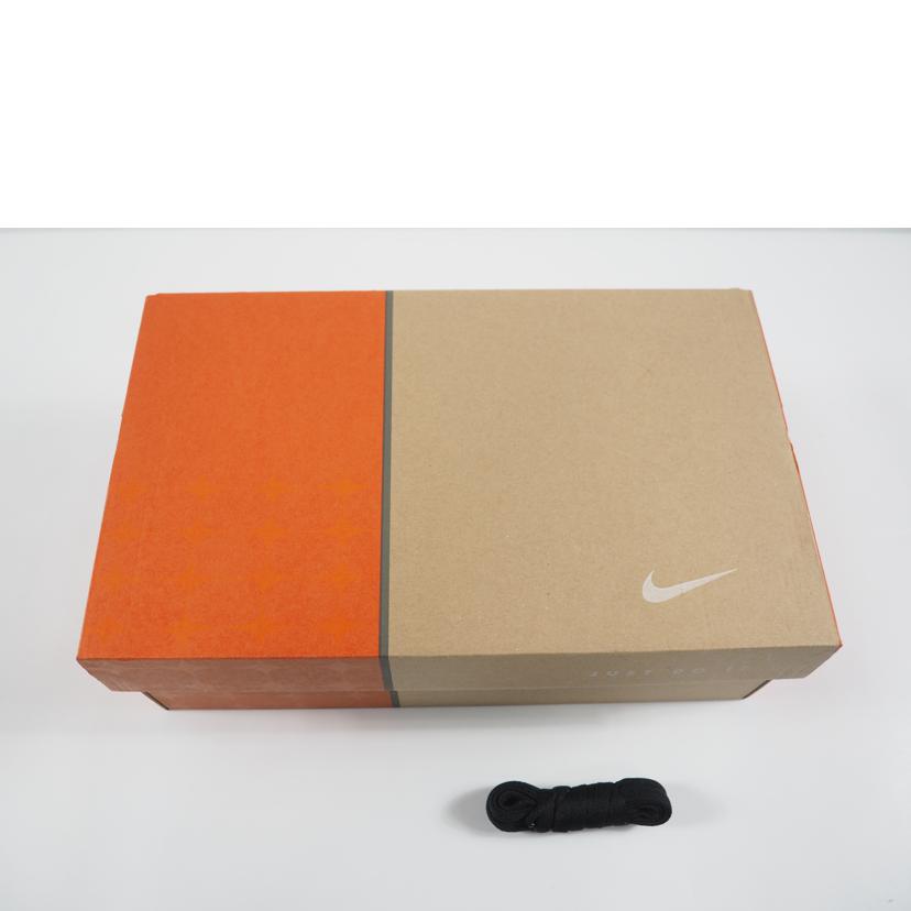 NIKE ナイキ/AIR FORCE 1 LOW QS TS/FJ5756-100//SAランク/79