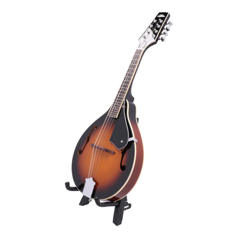 Aria アリア/フラット マンドリン/AM-20//4702200019/Aランク/05