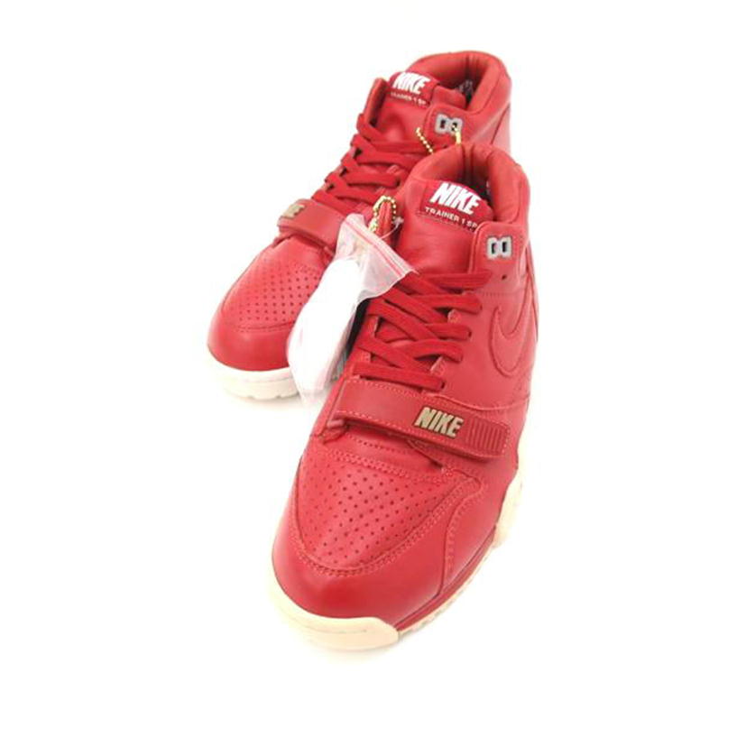 NIKE×FRAGMENT ナイキ×フラグメント/NIKE×FRAGMENT AIR TRAINER 1 MID/806942-661//ABランク/69