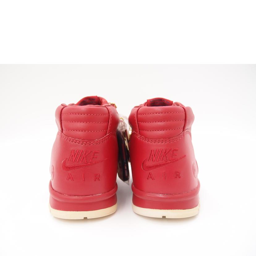 NIKE×FRAGMENT ナイキ×フラグメント/NIKE×FRAGMENT AIR TRAINER 1 MID/806942-661//ABランク/69