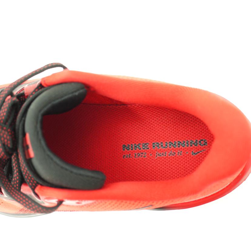 Nike ナイキ/ペガサス41/FD2722-602//Sランク/69