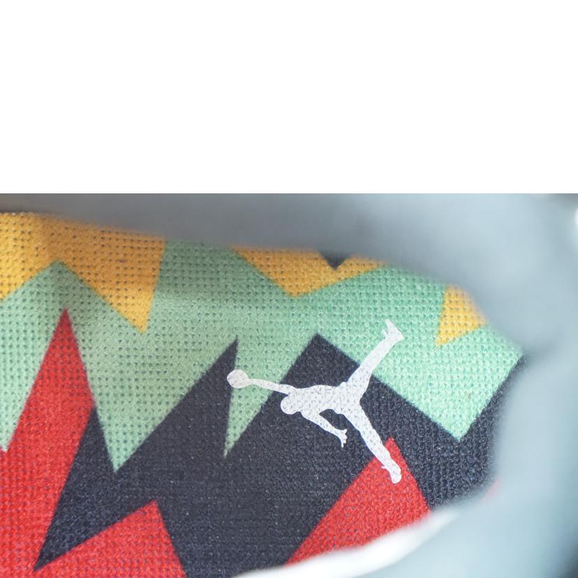 NIKE ナイキ/NIKE AIR JORDAN 6 GS 24.0/384665-062//Aランク/67