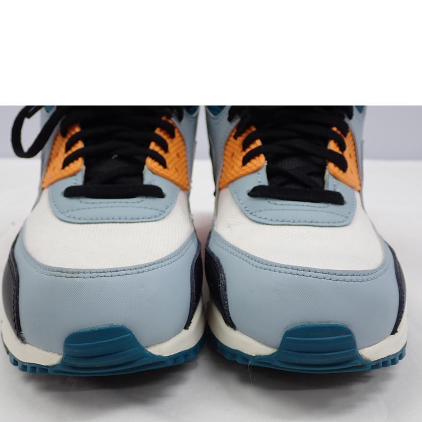 NIKE ナイキ/AIR MAX 90 ESSENTIAL/AJ1285-110//27.0cm/Cランク/62