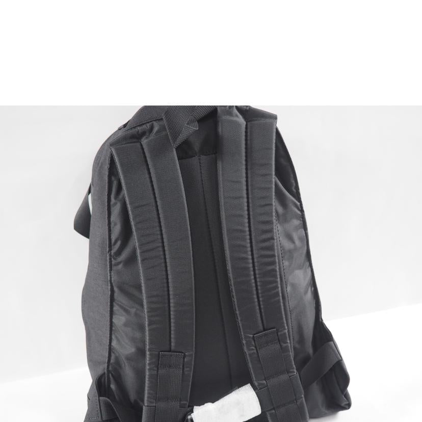 GREGORY グレゴリー/リュック FINE DAY V2/09J29366//SAランク/79