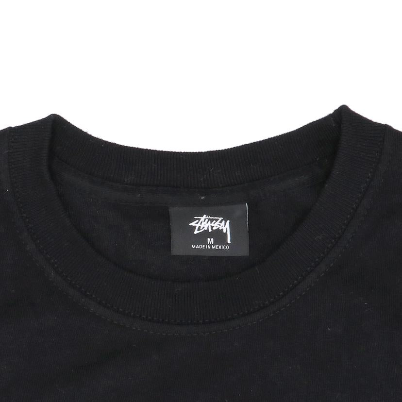 stussy ステューシー/Tシャツ//Bランク/85